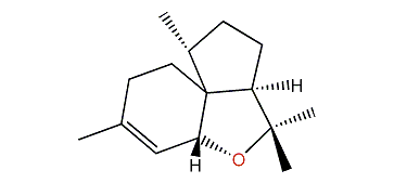 2,11-Epoxyacor-3-ene